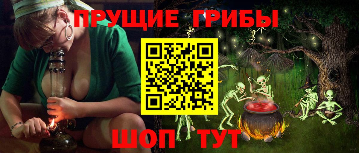 Бор  Псилоцибиновые грибы мухоморы  Вход с VPN 