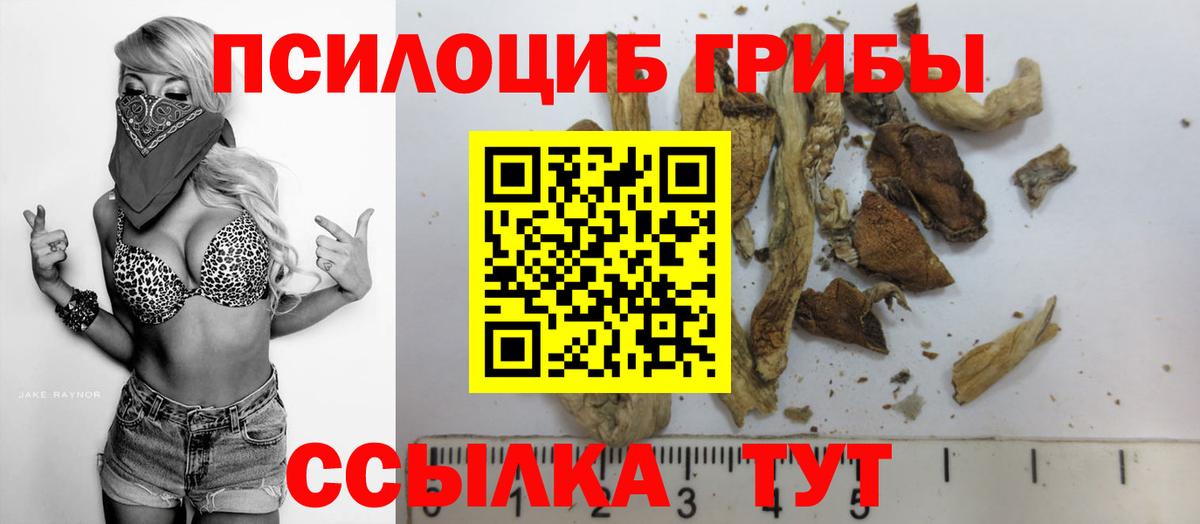 Псилоцибиновые грибы прущие грибы Бор